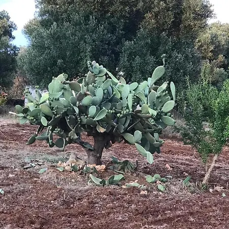 La 3 L 빌라 *